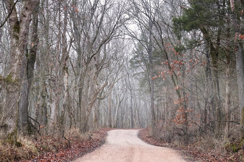 Untouched Landscapes